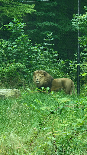 Zoo «Binder Park Zoo», reviews and photos, 7400 Division Dr, Battle Creek, MI 49014, USA