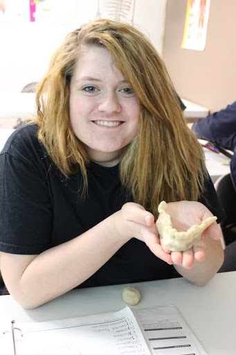 Store «Texas Massage Academy and day spa», reviews and photos