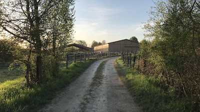 Ecurie De L'Allaine EARL à Thiancourt