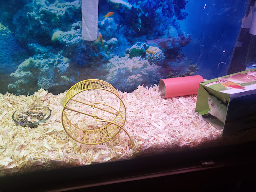 Pet Supply Store «Pet Supplies Plus», reviews and photos, 319 N Berkeley Blvd, Goldsboro, NC 27534, USA