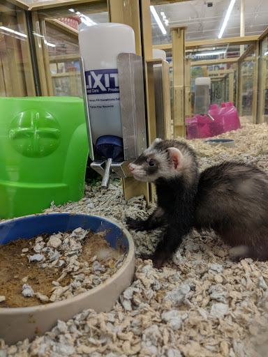 Pet Supply Store «Pet Supermarket, Inc.», reviews and photos, 598 N McCarran Blvd, Sparks, NV 89431, USA