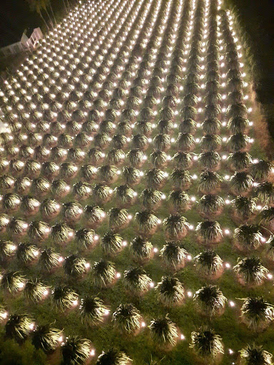 Khách sạn Anh Toản