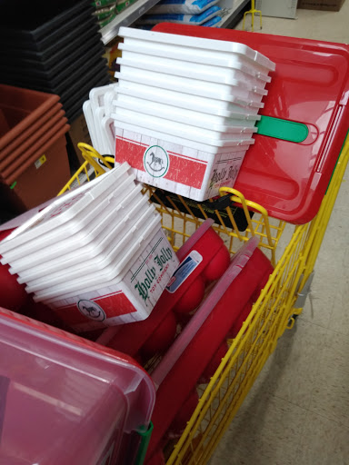 Discount Store «Dollar General», reviews and photos, 802 Prospect St, Trenton, NJ 08618, USA