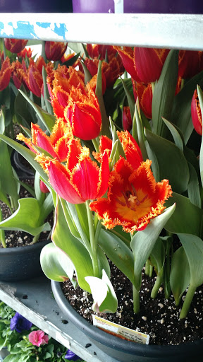 Home Improvement Store «The Home Depot», reviews and photos, 2312 Eastern Blvd, Montgomery, AL 36117, USA