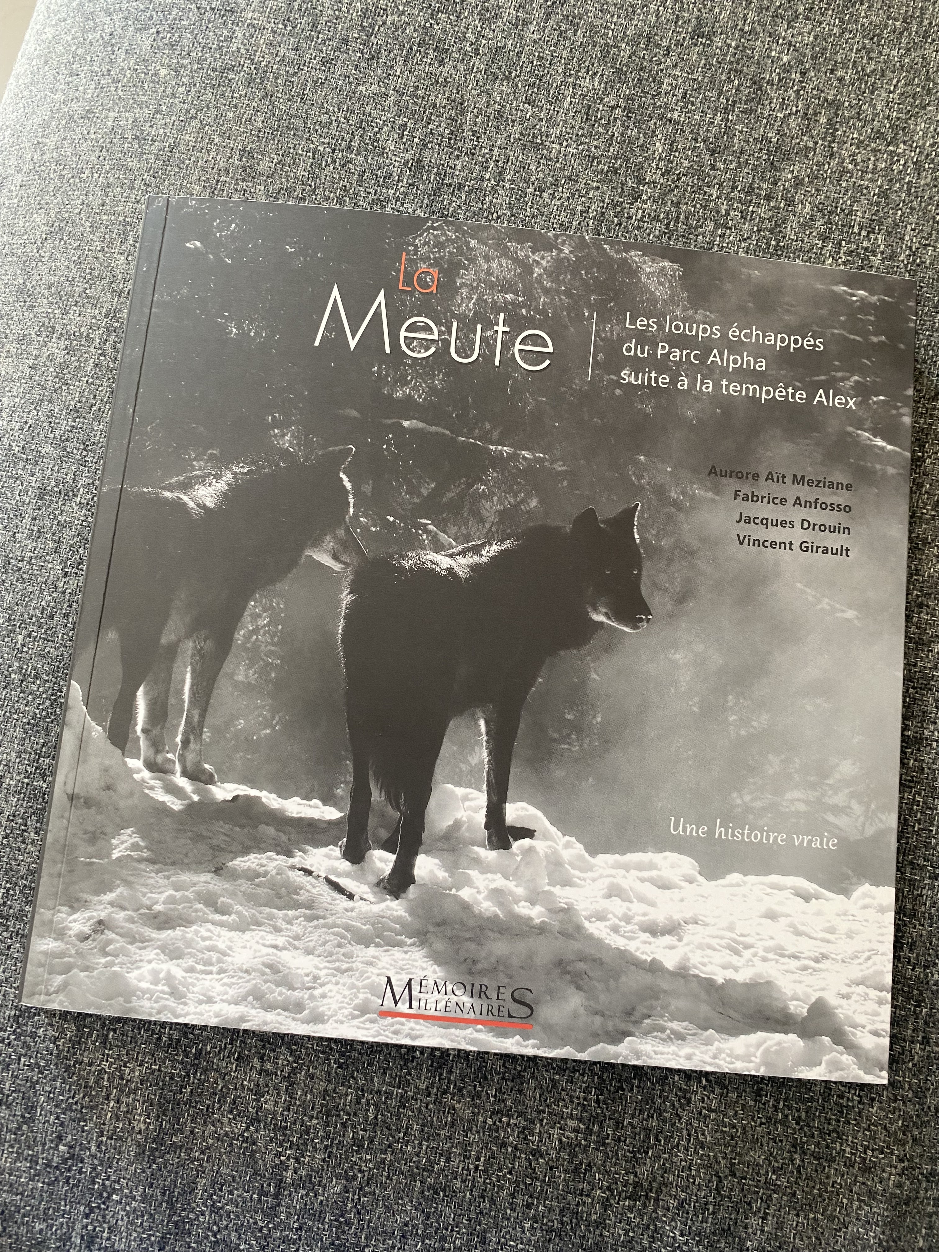 Photo n° 6 de l'avis de Karine.L fait le 01/10/2023 à 09:50