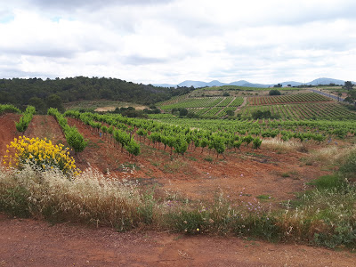 Domaine la Croix Sainte Eulalie Saint-Chinian à Pierrerue