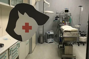 Ambulatorio Veterinario Animal Hospital di Luigi Amato image