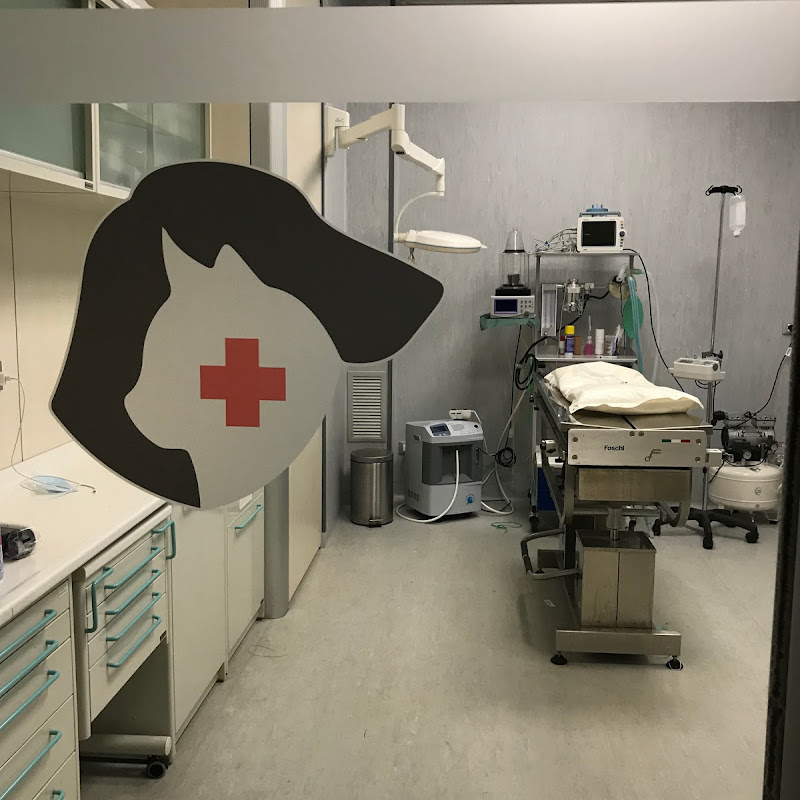 Clinica Veterinaria Dr. Luigi Amato Animal hospital