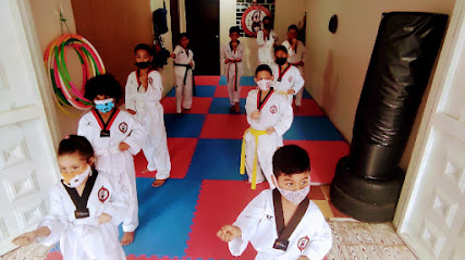 Club de Taekwondo Guerreros Z