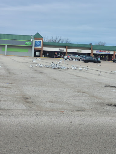 Auto Auction «Waukegan Auto Auction», reviews and photos, 2731 Belvidere Rd, Waukegan, IL 60085, USA