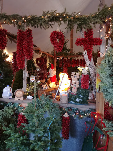 Christmas tree farm Tucson