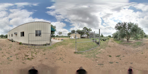Tourist Attraction «The Bella Vista Ranch / First Texas Olive Oil Co.», reviews and photos, 3101 Mt Sharp Rd, Wimberley, TX 78676, USA