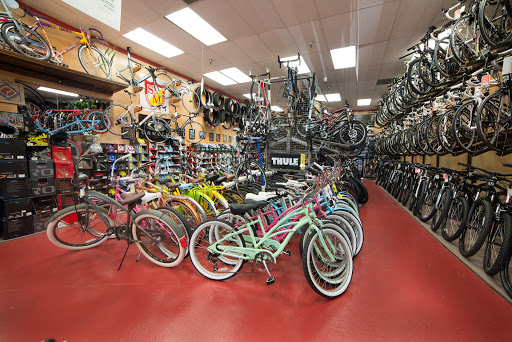Used bicycle shop Pomona