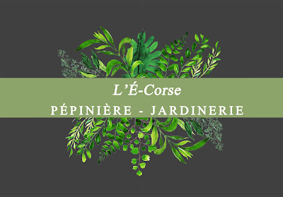 L' e-corse à Cervione