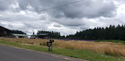 Farm «Oregon Lavender Farm», reviews and photos, 20949 S Harris Rd, Oregon City, OR 97045, USA