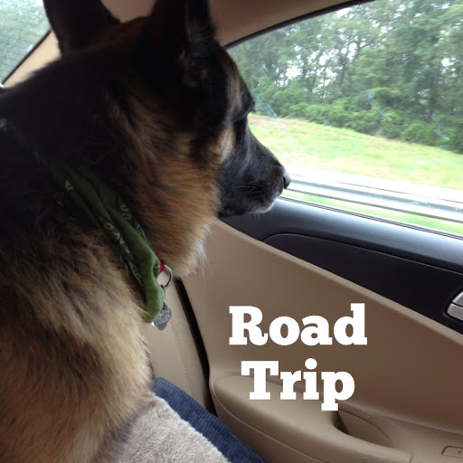 Auto Repair Shop «C & E Tire And Auto Service», reviews and photos, 11901 Indian Rocks Rd, Largo, FL 33774, USA