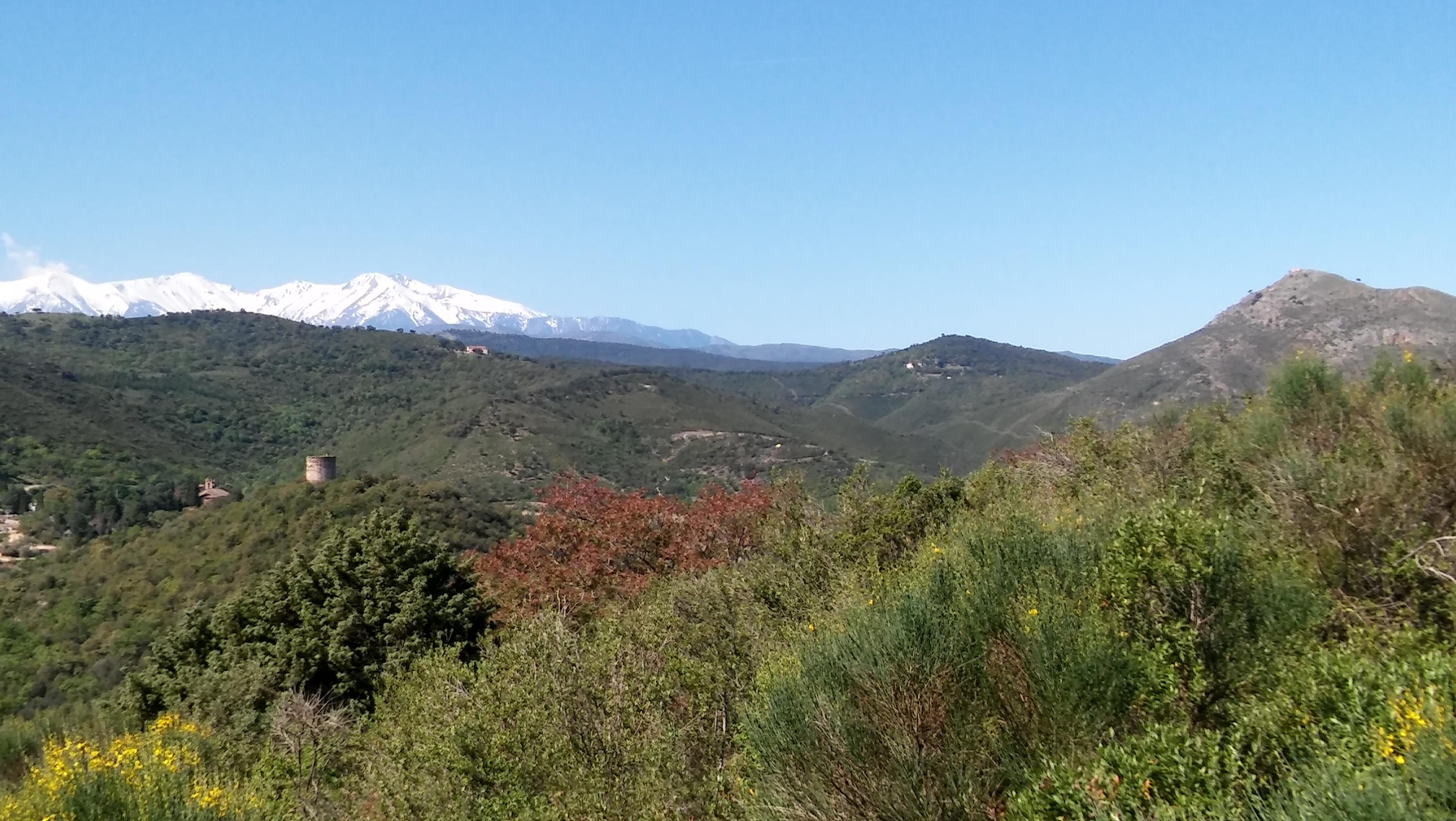 Photo n° 10 de l'avis de Virginie.K fait le 13/04/2017 à 17:44