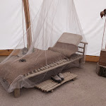 Photo n° 34 de l'avis de Emma.e fait le 04/08/2022 à 14:22 pour Dino Parc à Coudekerque-Branche