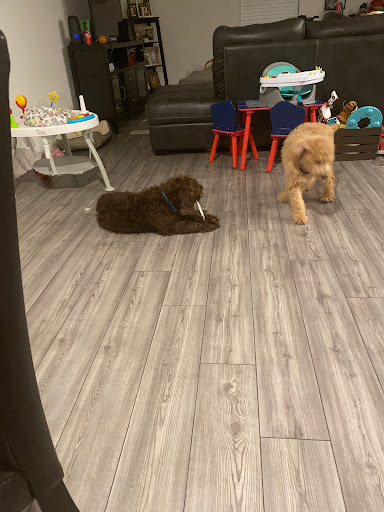 Pet Store «Pet World - Auburndale», reviews and photos, 3637 Havendale Blvd, Auburndale, FL 33823, USA