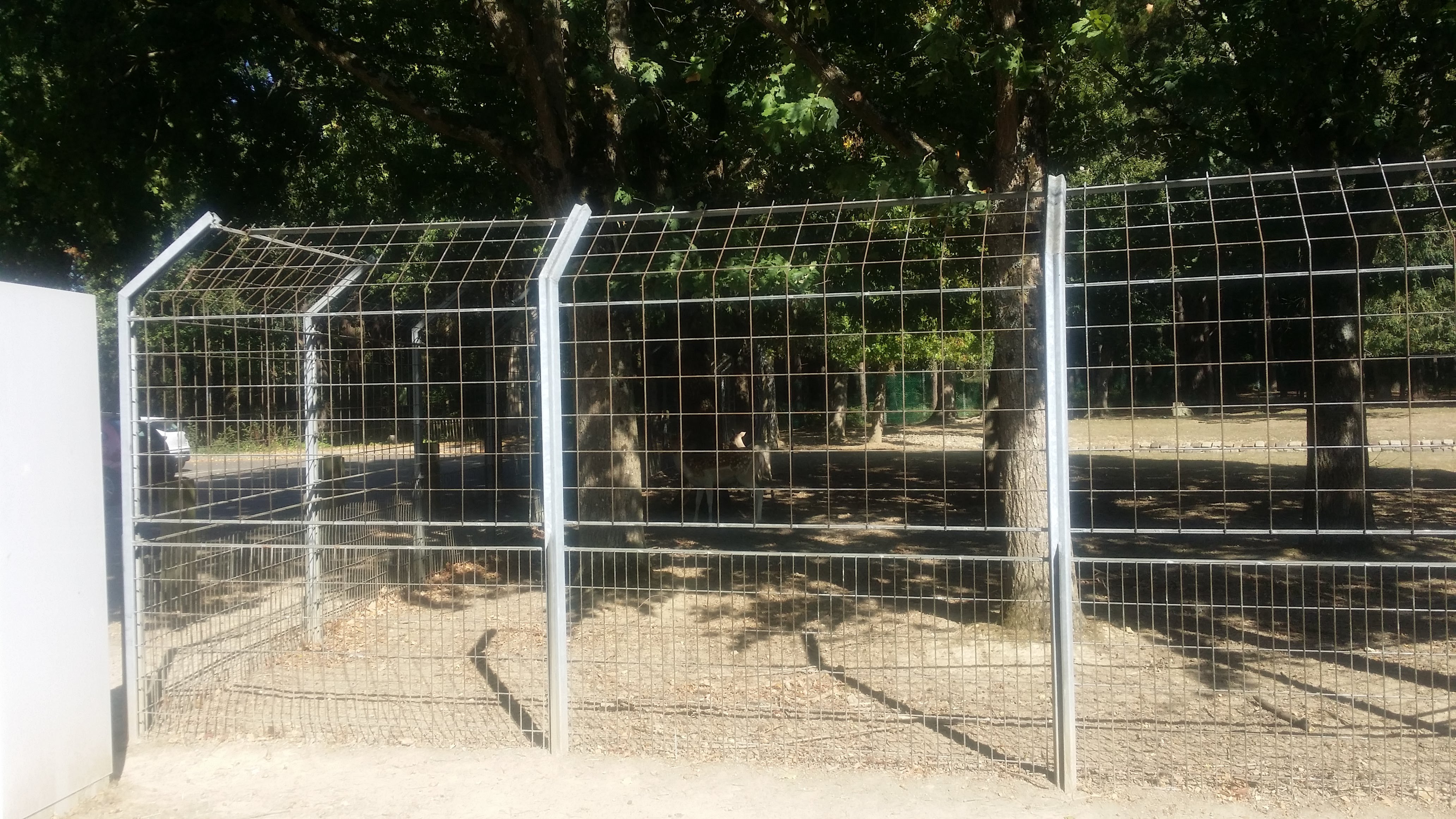 Photo n° 7 de l'avis de Alain.o fait le 22/04/2019 à 15:22