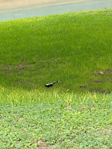 Raft Trip Outfitter «Little Ponderosa River Otfttrs», reviews and photos, 2001 Ponderosa Dr, New Braunfels, TX 78132, USA