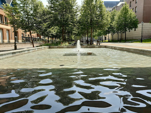 Parc urbain à Amiens