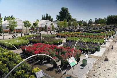 Belmont Nursery