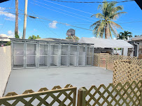 Dog Daycare and Hotel Panga - Photo 6 - Car repair in Miami Gardens, FL, Miami Gardens