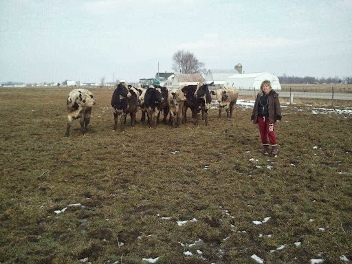 Health Food Store «Amish Healthy Foods», reviews and photos, 1025 N Western Ave, Chicago, IL 60622, USA