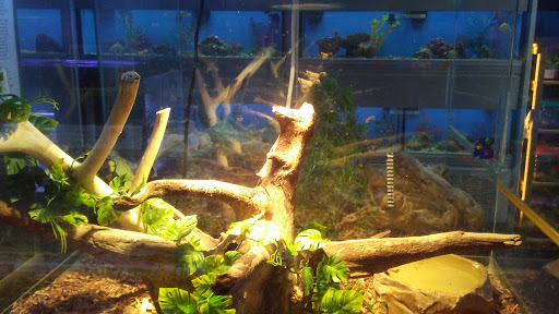 Pet Store «Animal City Pet Center», reviews and photos, 919 NW Broad St, Murfreesboro, TN 37129, USA