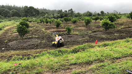 Bona Uli Integrated Farm