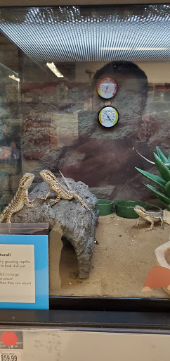 Pet Supply Store «Petco Animal Supplies», reviews and photos, 1333 Centennial Ave, Piscataway Township, NJ 08854, USA