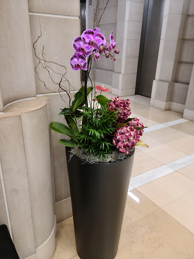 Department Store «Nordstrom Rack 12th Street», reviews and photos, 555 12th St NW c120, Washington, DC 20004, USA