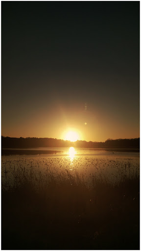 Wildlife Refuge «Great Meadows National Wildlife Refuge», reviews and photos, 73 Weir Hill Rd, Sudbury, MA 01776, USA
