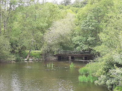 Piscine intercommunale de Guémené-Penfao à Guémené-Penfao