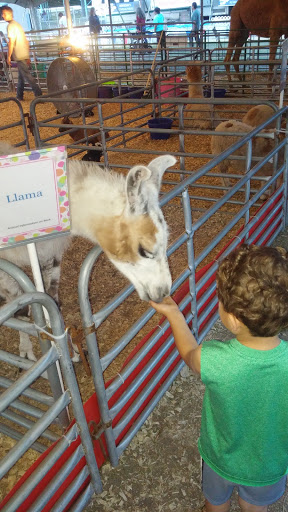 Tourist Attraction «Myrtle Beach Speedway», reviews and photos, 455 Hospitality Ln, Myrtle Beach, SC 29579, USA