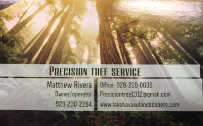 Precision Tree Service Lake Havasu City