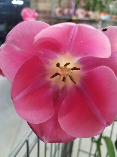 Department Store «Walmart Supercenter», reviews and photos, 201 Chamber Dr, Milford, OH 45150, USA