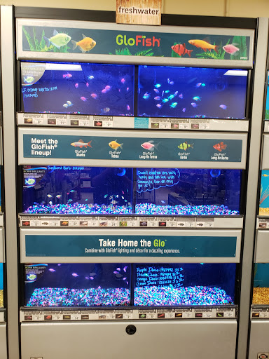 Pet Supply Store «Petco Animal Supplies», reviews and photos, 405 W Loop 281, Longview, TX 75605, USA