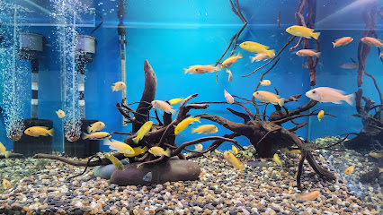 Meen Aquarium