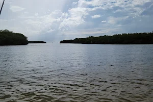 Cockroach Bay Preserve State Park image