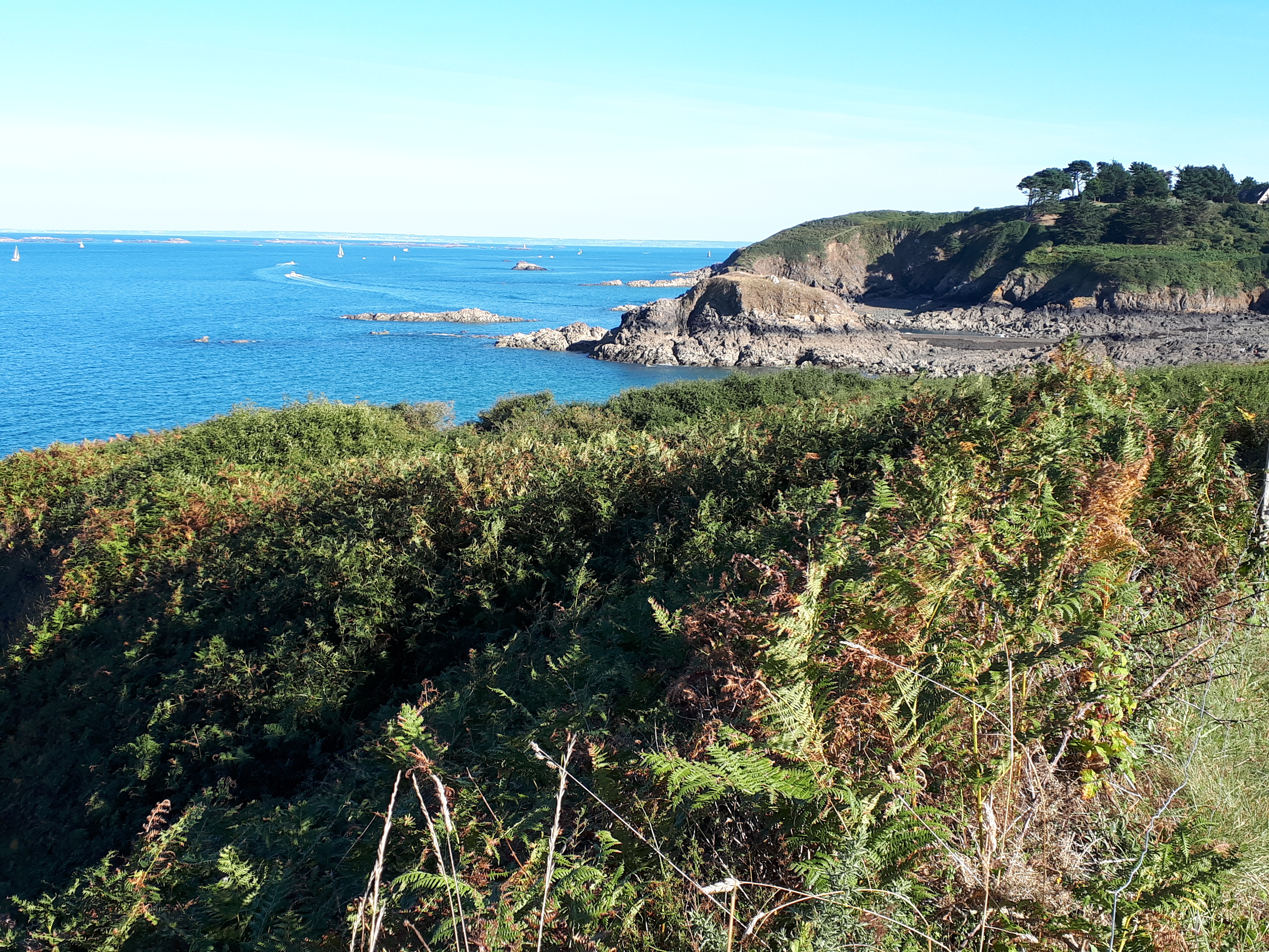 Photo n° 1 de l'avis de Jeanne.a fait le 06/09/2018 à 06:23