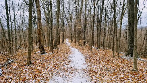 Nature Preserve «Engelmann Woods Natural Area», reviews and photos, 2360 Hwy D, Boles Township, MO 63304, USA