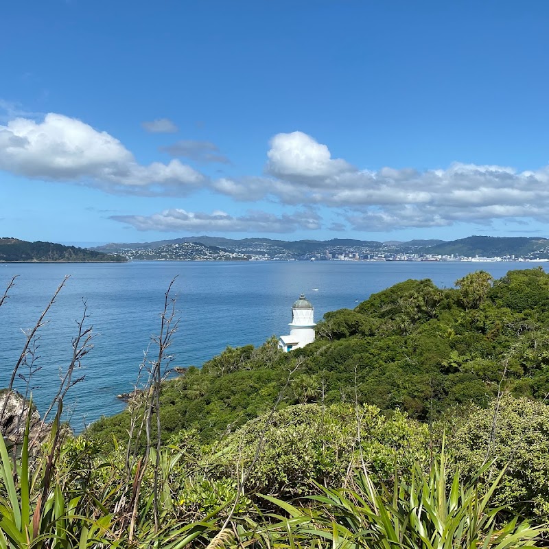 Matiu/Somes Island