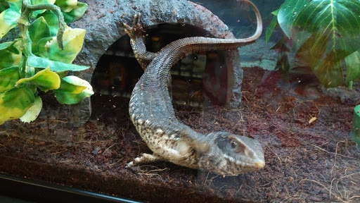 Pet Supply Store «Petco Animal Supplies», reviews and photos, 1753 St Lucie W Blvd, Port St Lucie, FL 34986, USA