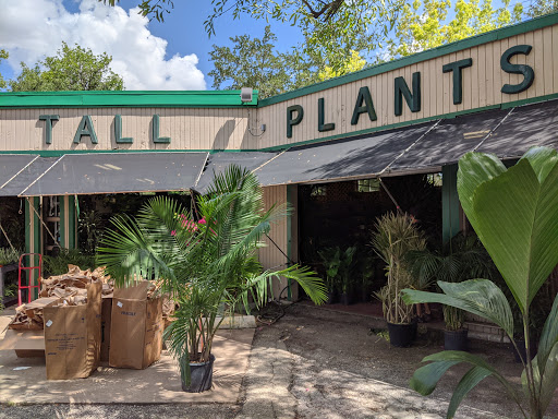 Tall Plants