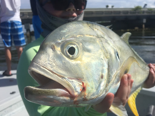 Fishing Charter «Tampa Fishing Charters with Capt Tim Whitfield», reviews and photos, 5200 W Tyson Ave, Tampa, FL 33611, USA