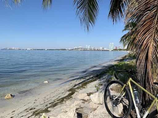 Bicycle Store «Brickell Bikes», reviews and photos, 70 SW 12th St, Miami, FL 33130, USA