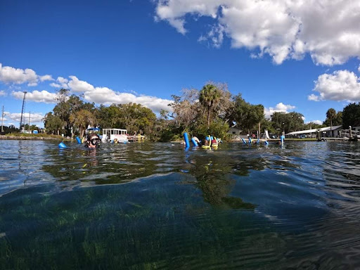 Tourist Attraction «Fun 2 Dive - Swim with Manatees», reviews and photos, 135 NE 3rd St, Crystal River, FL 34429, USA