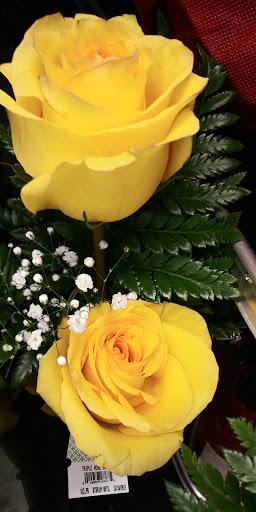 Grocery Store «Winn-Dixie», reviews and photos, 9864 Stringfellow Rd, St James City, FL 33956, USA